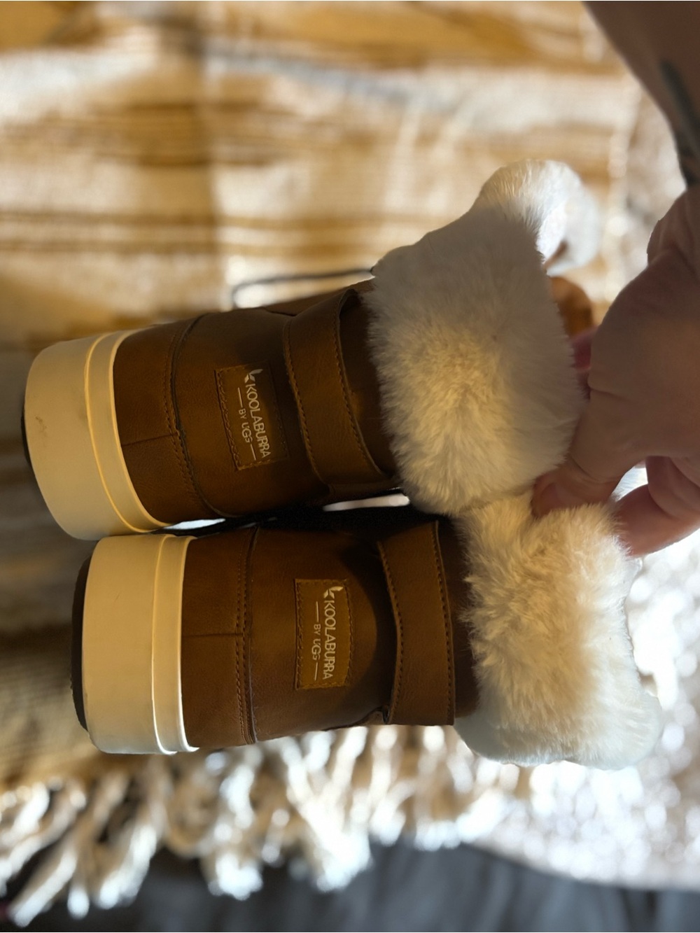 UGG Chestnut Suede Booties with Cream Shearling